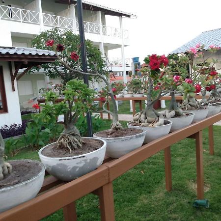Brisamar Hotel Pousada Barra de São Miguel Buitenkant foto